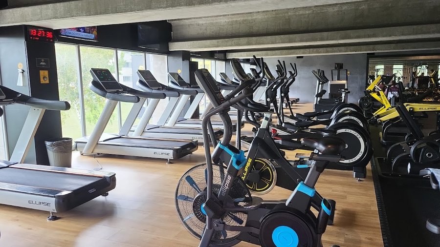 Zona cardio do ginásio Fitness UP, na Maia, com passadeiras e bicicletas junto às janelas