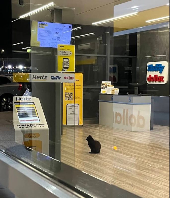 Hertz/Thrifty counter