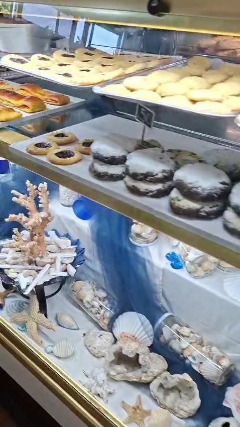 Fotograma do interior da vitrina da Tropicália: corais, búzios, conchas e uma estrela-do-mar azul dispostos sobre tecido azul, por baixo dos bolos