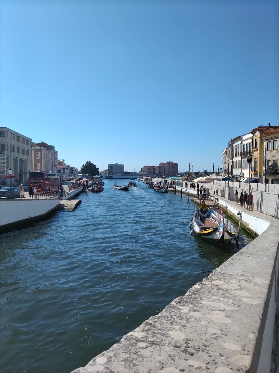 Canal de Aveiro com barcos moliceiros e casas coloridas
