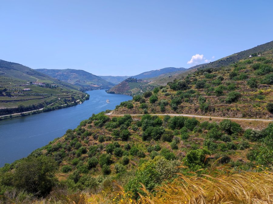 Vale do Douro com o rio a curvar entre encostas de vinha